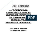 Portafolio de Evidencias