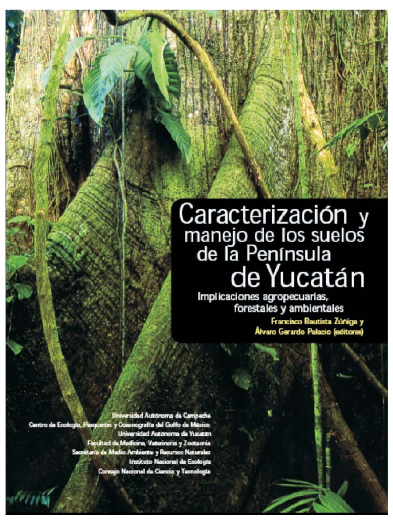 Suelos Yucatan, PDF, Suelo