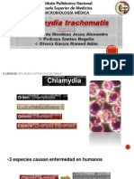Chlamydia trachomatis: Características, factores de riesgo, diagnóstico y tratamiento