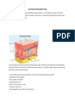 Sistem Integumentari