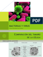 Bacterias y Virus