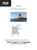 Download Bencana Gunung Meletus by Allessandro Rumahorbo SN214595954 doc pdf