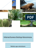 Interactiunea Biotop Biocenoza