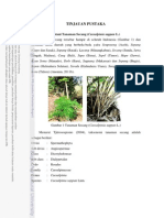 Download Tanaman Secang by ImeldaMiYukiRenyut SN214600845 doc pdf