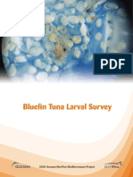 Bluefin Tuna Larval Survey