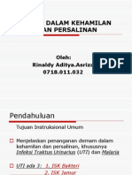 Demam Dalam Kehamilan Dan Persalinan