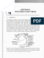 Bab 4 Archaea, Bakteria Dan Virus