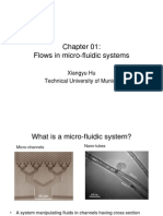 Flows in Micro-Fluidic Systems: Xiangyu Hu Technical University of Munich
