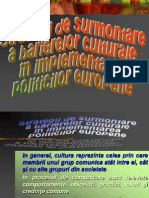 Cursul 9 Strategii de Surmontare a Barierelor Culturale