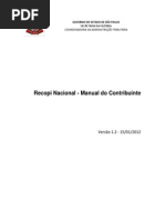 Manual Recopi Nacional - Contribuinte
