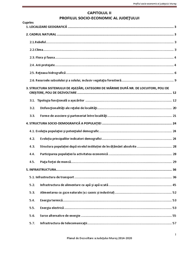 Profil Socioeconomic Iunie 2013