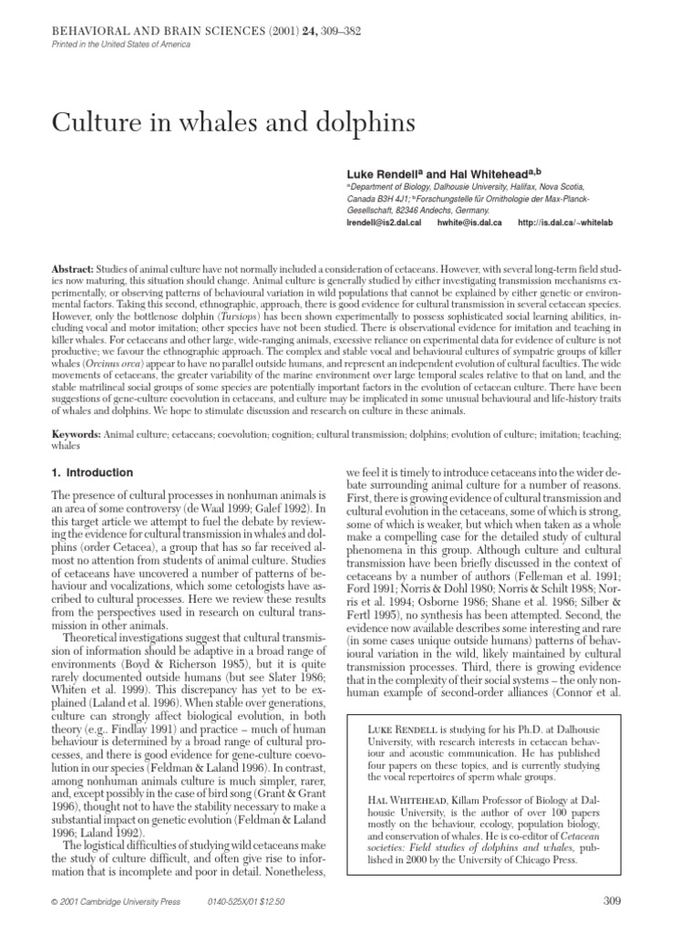 Culture in Whales and Dolphins: Luke Rendell and Hal Whitehead | PDF ...