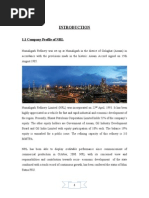HBS Resume Template PDF