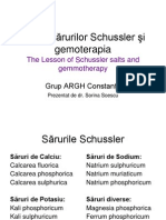 Lectia Sarurilor Schussler