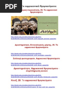 Download B  -   -  -  -      by   SN214699128 doc pdf