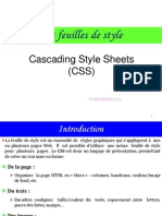 Introduction Sur CSS