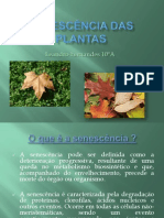 Senescência Das Plantas