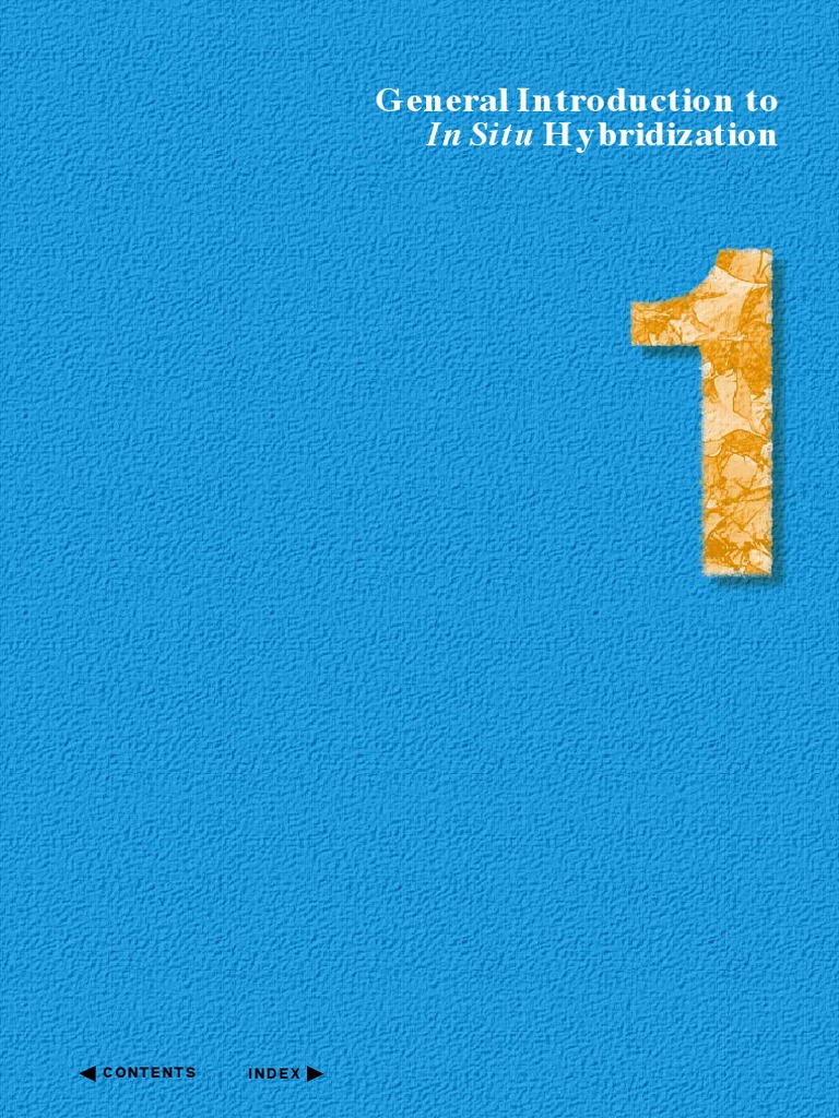 In Situ PDF In Situ Hybridization Microscopy