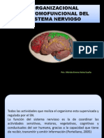 Organizacional Anatomofuncional Del Sistema Nervioso - Copia 3