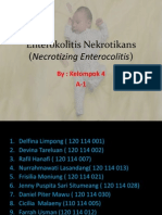 OPTIMALKAN NEC