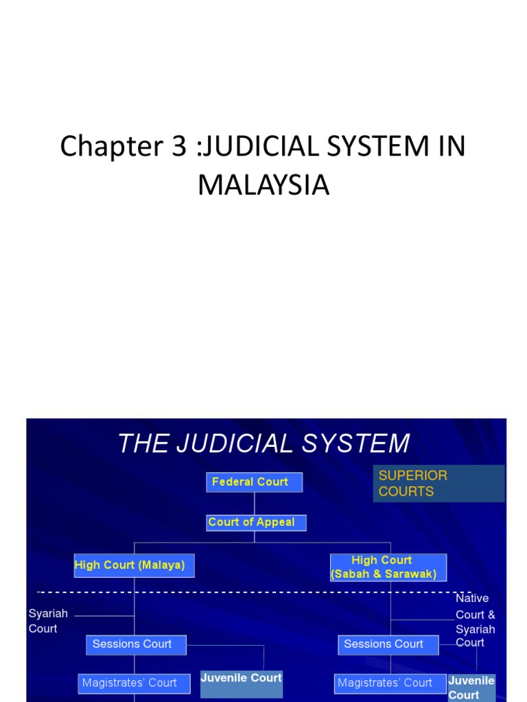 Chap 3 WIP  PDF  Court Of Appeal Of Singapore  Precedent
