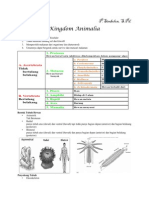 Rangkuman Materi ANIMALIA