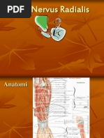 Download 193627592 Lesi Nervus Radialis by Monica Wulandari SN214784361 doc pdf
