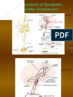 Basic Functions of Synapses