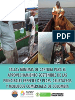 Tallas mínimas de captura de las principales especies de peces comerciales de Colombia-2013