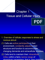 Tissue and Cellular Injury