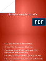 Buffalo Breeds of india