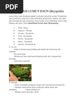 Klasifikasi Lumut Daun