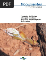 Producao-de-Mudas-principais-tecnicas-utilizadas-na-propagacao-de-fruteiras_BOM.pdf