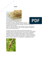 Psyllium Husk