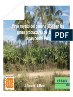 Virus en Banano y Platano-JTENORIO-Congreso Piura (Modo de Compatibilidad)