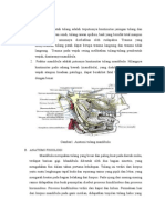 LP Frakture Mandibula