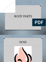 Body Parts