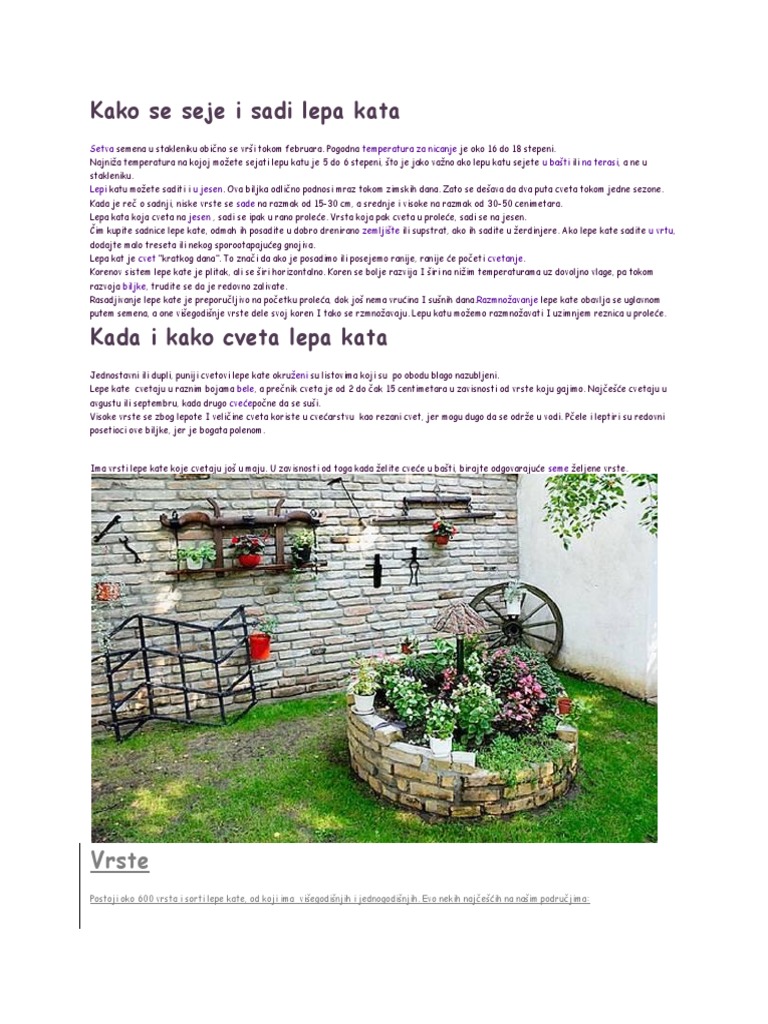 Kako Se Seje I Sadi Lepa Kata | PDF