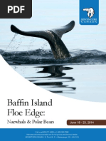 Download Baffin Floe Edge Narwhals and Polar Bears by adventurecanada SN214871685 doc pdf