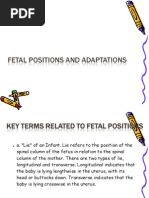 Download fetal position by jean therese SN21490479 doc pdf