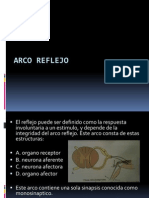 Arco Reflejo