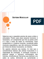 Sistema Muscular