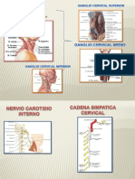 EXPOSICION DOCTORADO