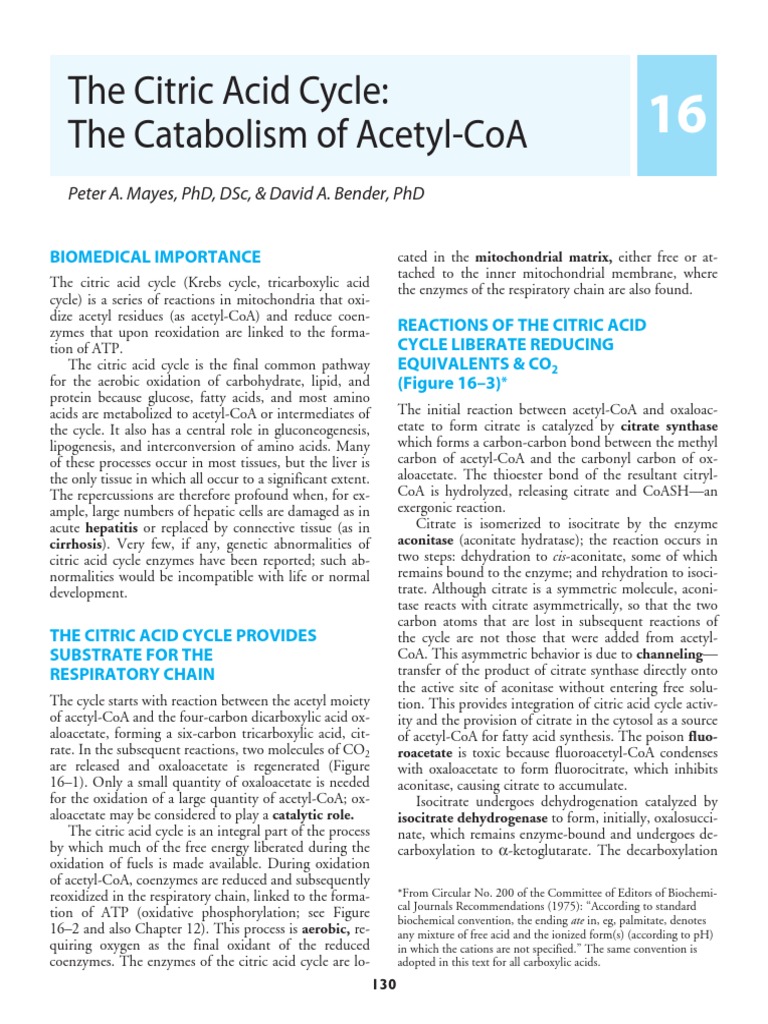 Biomedical Significance of the TCA Cycle | PDF | Citric Acid Cycle ...