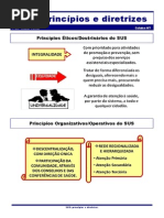 Aula 02 - Princípios e diretrizes do SUS