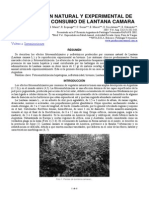 Lantana Camara PDF