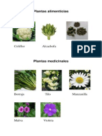 Plantas alimenticias