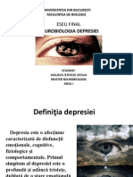Neurobiologia Depresiei