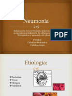 Neumonía equina causas