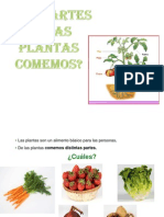 Partes de Las Plantas Que Comemos